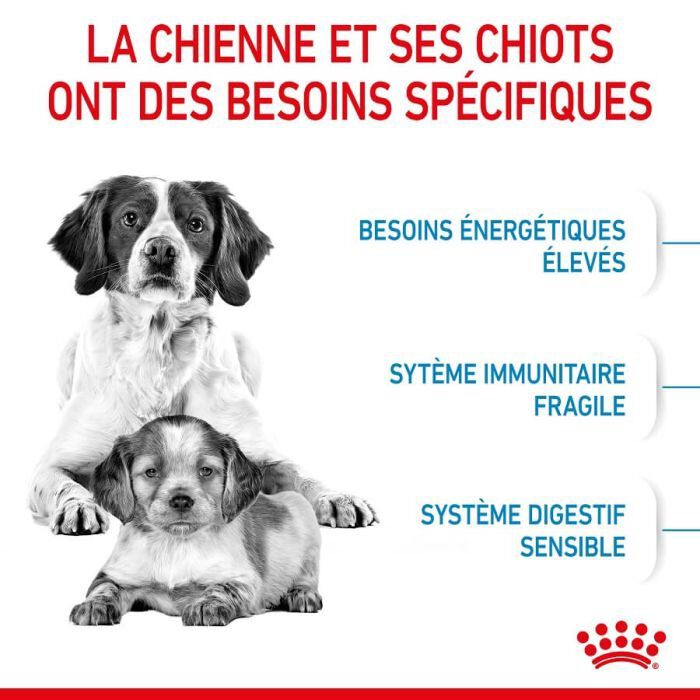 Royal Canin - Croquettes Medium Starter Mother & Babydog pour chiot - 15Kg Image num&eacute;ro 3