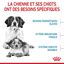 Royal Canin - Croquettes Medium Starter Mother & Babydog pour chiot - 15Kg Indicateur image numéro 3