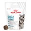Royal Canin - Aliment complémentaire Adult Joint & Agieing Chews pour Chiens - 240g Indicateur image numéro 11