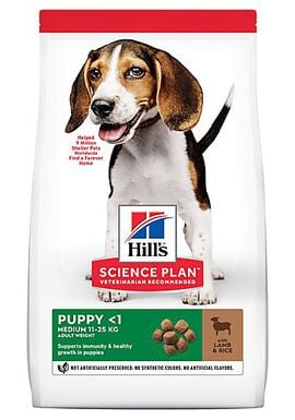 Hill's Science Plan Puppy Croquettes pour Chiot à l'Agneau et Riz