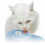 Cat H2O - Fontaine à Eau pour Chat - Bleu Indicateur image numéro 5