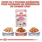 Royal Canin - Sachets Kitten Instinctive en Sauce pour Chat - 12x85g image number null