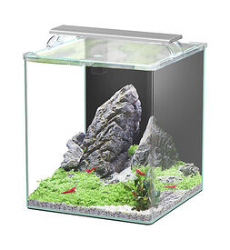 Aquatlantis - Aquarium Kubus Curve 44L - Essential