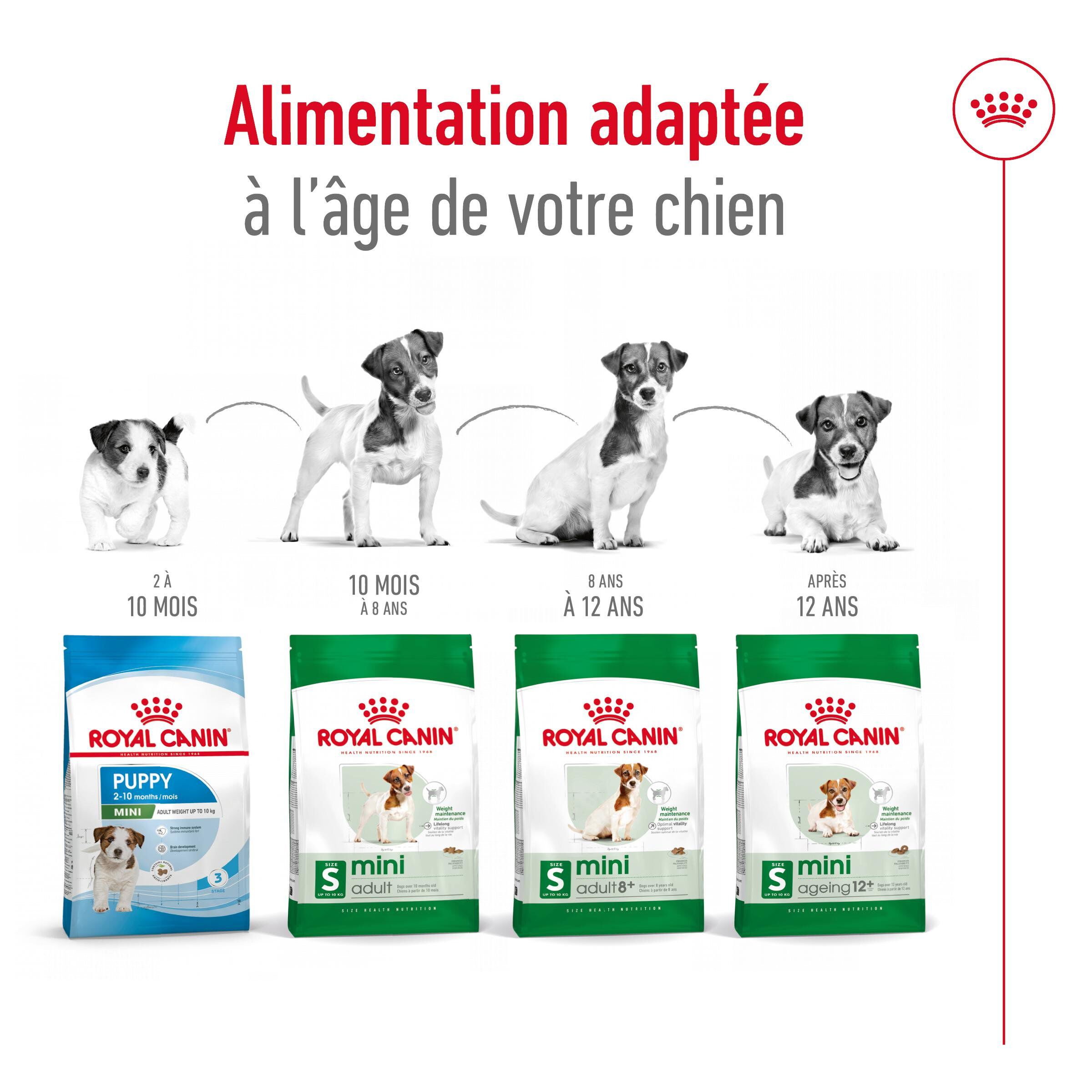 Royal Canin - Croquettes Mini 8+ pour Chien Adulte - 8Kg Image num&eacute;ro 4