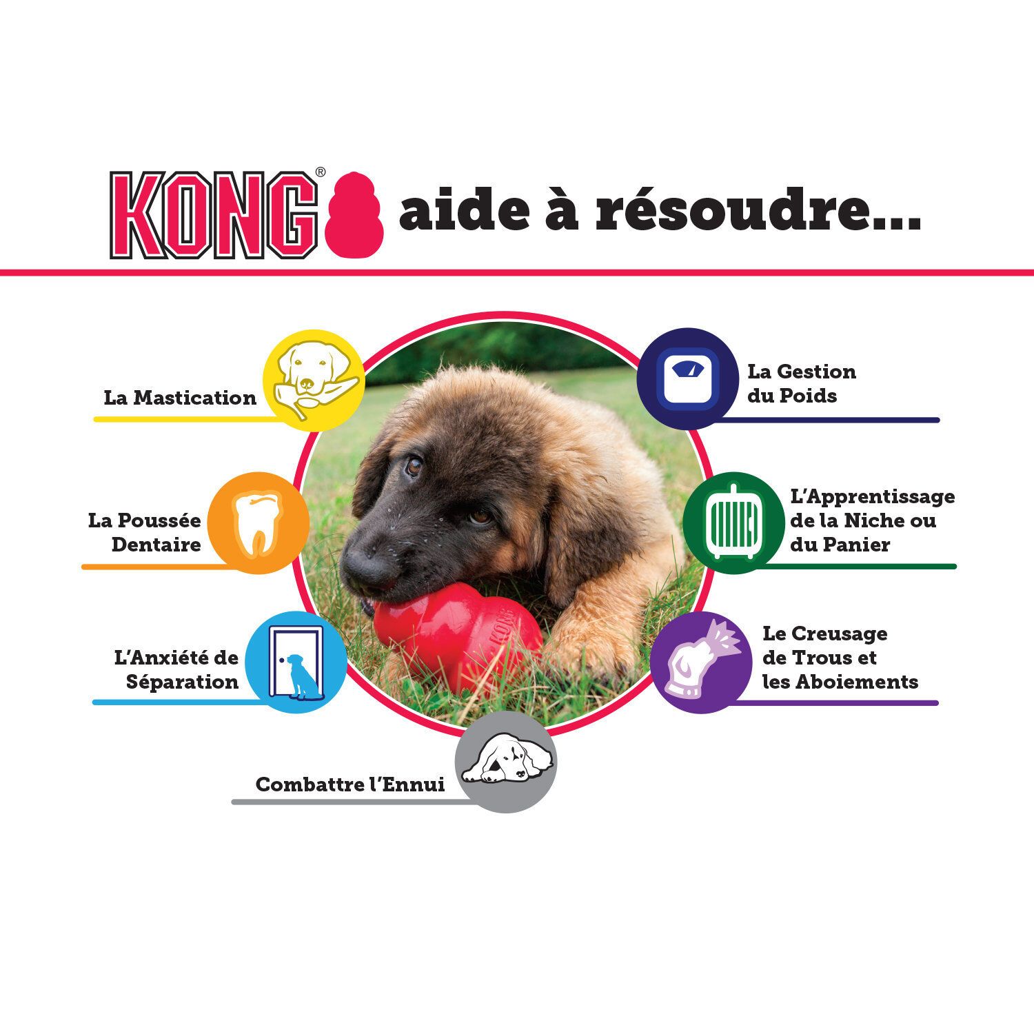 KONG - Jouet Puppy pour Chiot - XS Image num&eacute;ro 6