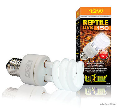 Exo Terra - Ampoule UVB 150 Fluocompact pour Terrarium Reptile - 13W