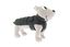 Ferribiella - Doudoune CALDOSO+ Vert pour Chien - 43cm Indicateur image numéro 3