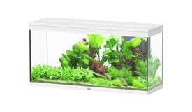Aquatlantis - Aquarium SPLENDID 120 Led 2.0 Equip&eacute; Blanc - 240L