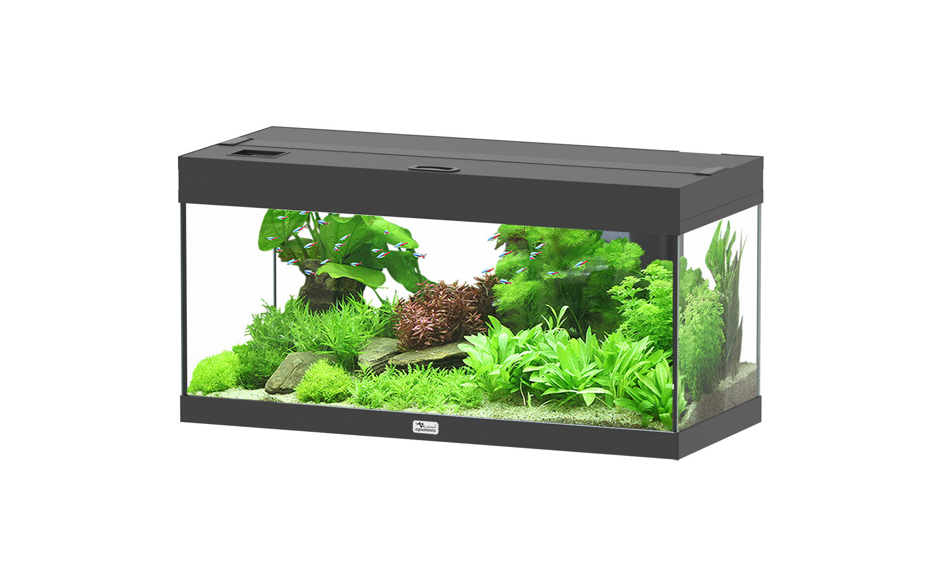 Aquatlantis - Aquarium Prestige 80 - Noir Led 2.0 EQP Image num&eacute;ro 1