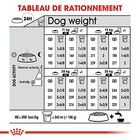 Royal Canin - Croquettes Medium Dermacomfort pour Chien - 3Kg image number null