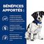 Hill's - Croquettes Prescription Diet I/D Stress Digestive Care Mini pour Chiens - 3Kg Indicateur image numéro 3