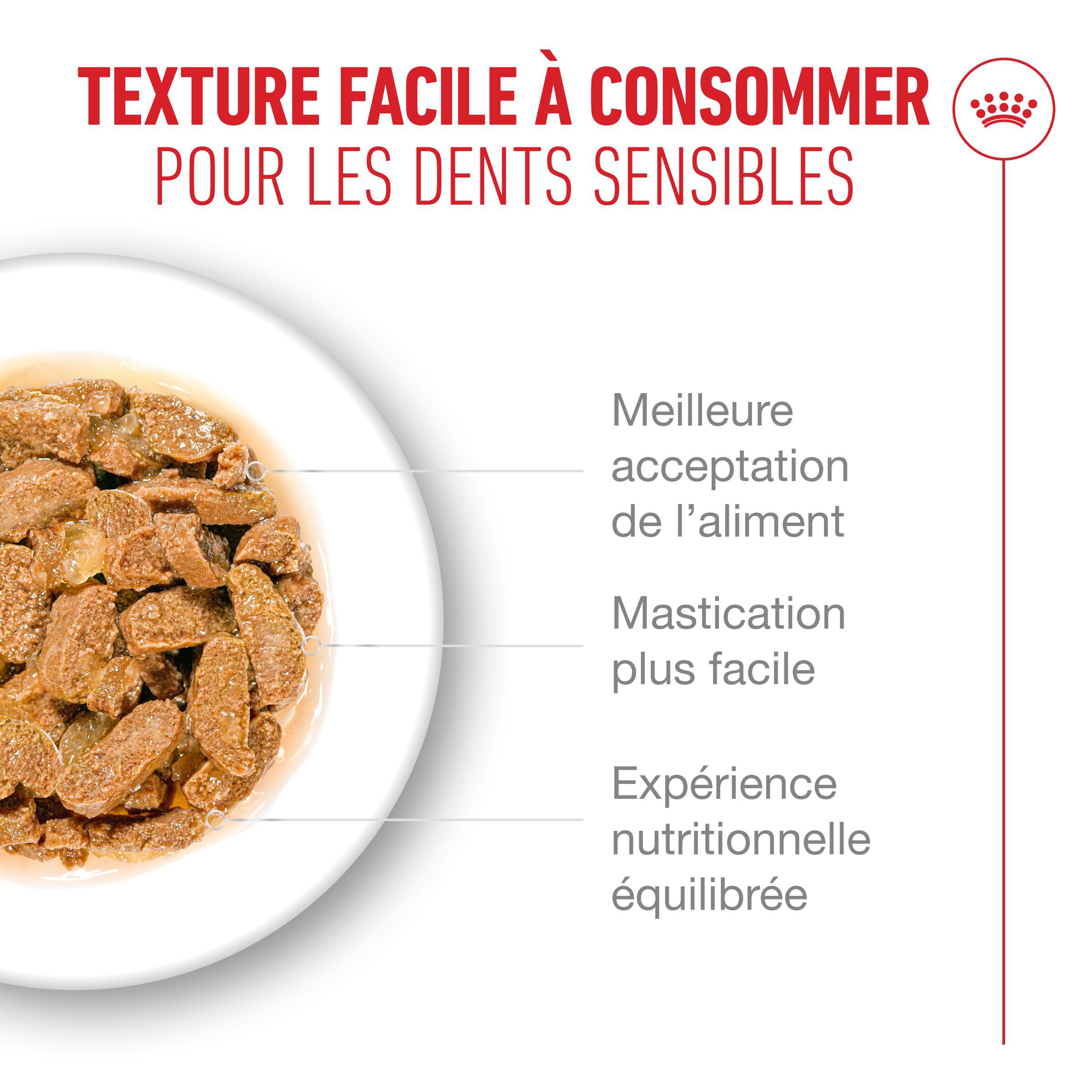 Royal Canin - P&acirc;t&eacute;e en Gel&eacute;e Ageing 11+ pour Chats Senior - 12x85g Image num&eacute;ro 7