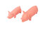 Tootoy! - Jouet Cochon - S Indicateur image numéro 3