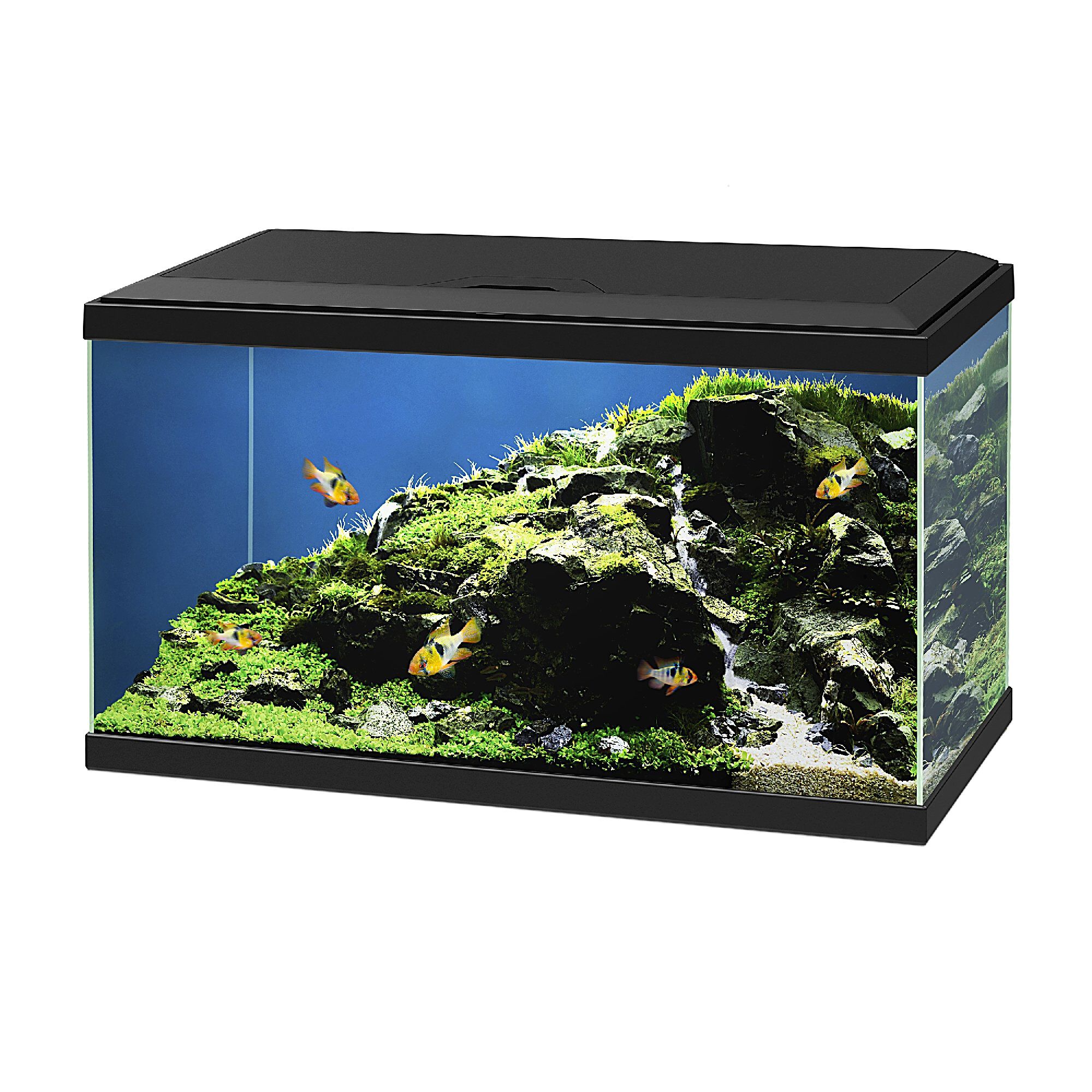 Ciano - Aquarium 60 LED - Noir Image num&eacute;ro 2