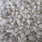 Aquadisio - Gravier Gros Blanc en Doypack - 1Kg image number null