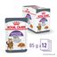 Royal Canin - Sachets Appetite Control Care en Gelée pour Chat - 12x85g Indicateur image numéro 10