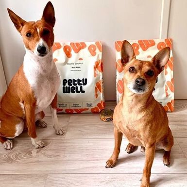 Petty Well - Croquettes au Poulet sans Céréales pour Grands Pour Chien