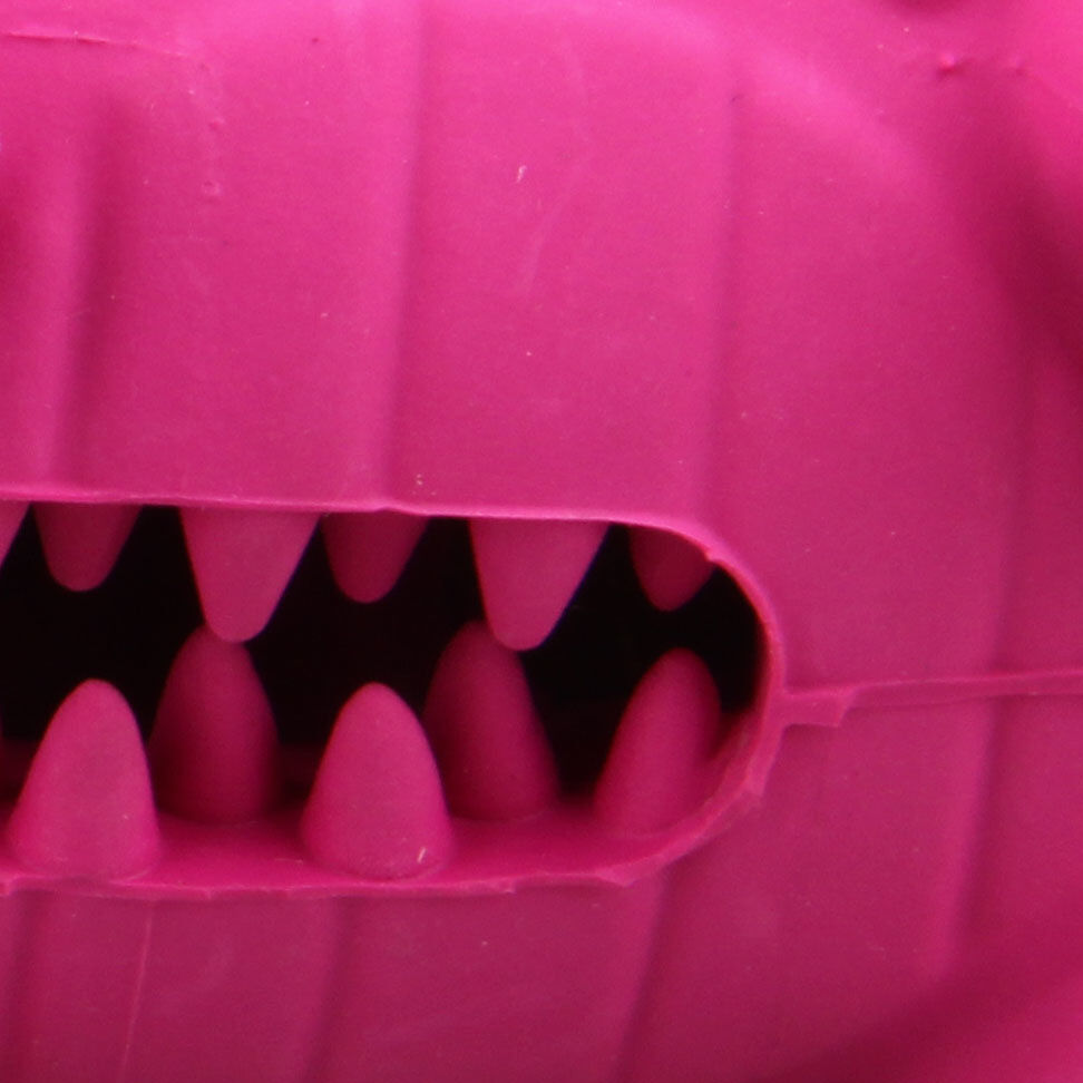 Tootoy! - Jouet 2 en 1 Dino Image num&eacute;ro 4