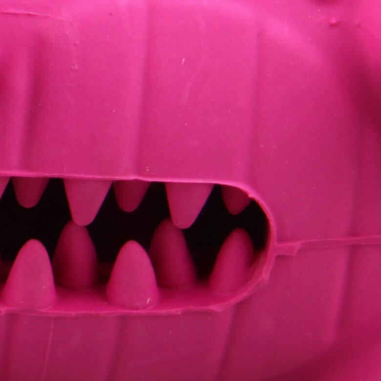 Tootoy! - Jouet 2 en 1 Dino Image numéro 4 Tootoy! - Jouet 2 en 1 Dino Image numéro 4