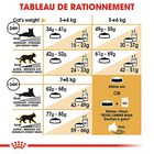 Royal Canin - Croquettes British Shorthair pour Chat Adulte - 2Kg image number null