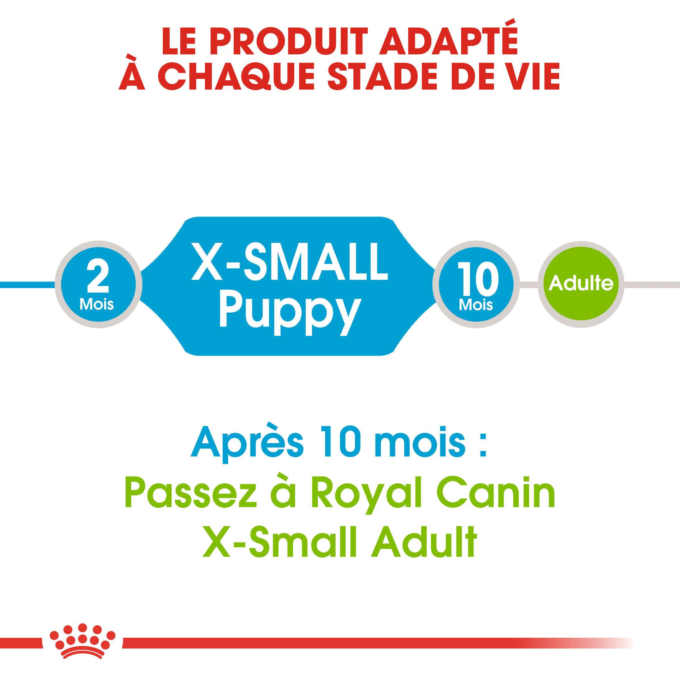 Royal Canin - Croquettes Puppy X-Small pour Chiots de 2 &agrave; 10 Mois - 1,5Kg Image num&eacute;ro 5