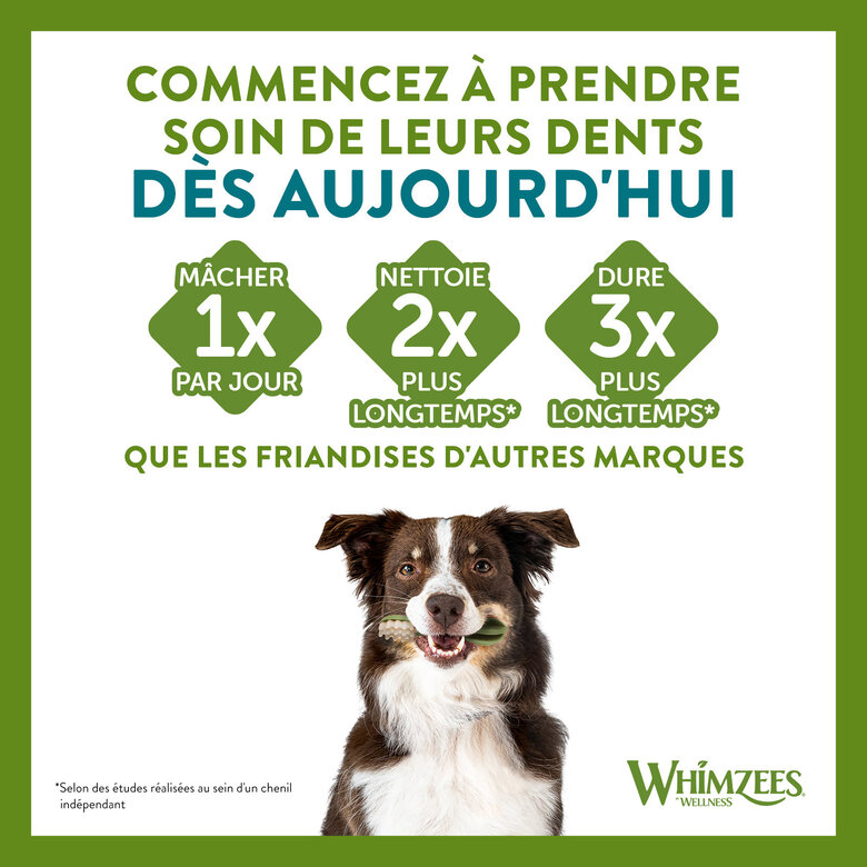 Whimzees - Friandises Brosse à Dents Dog Treats S pour Chien - x24 Image numéro 7 Whimzees - Friandises Brosse à Dents Dog Treats S pour Chien - x24 Image numéro 7