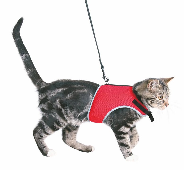 Trixie - Harnais Doux et Laisse de 1,20m pour Chat - 24/42cm Image numéro 2 Trixie - Harnais Doux et Laisse de 1,20m pour Chat - 24/42cm Image numéro 2