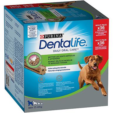 Dentalife - MultiPack Bâtonnets à Mâcher pour Chien de grande taille - 1272g