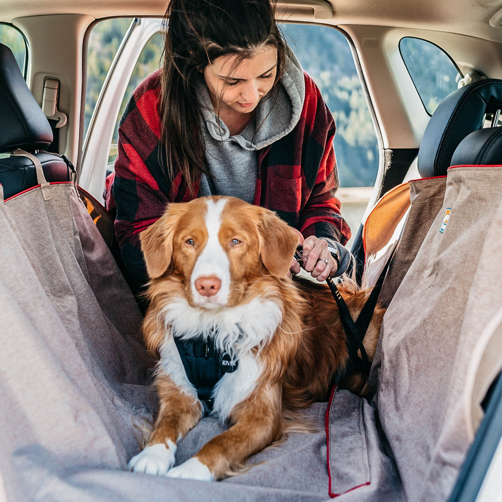 Kurgo - Harnais de S&eacute;curit&eacute; "Tru Fit" Violet pour Chiens - XS Image num&eacute;ro 3