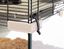 Ferplast - Cage Karat 100 pour Petits Rongeurs - 50x98x61cm Indicateur image numéro 6