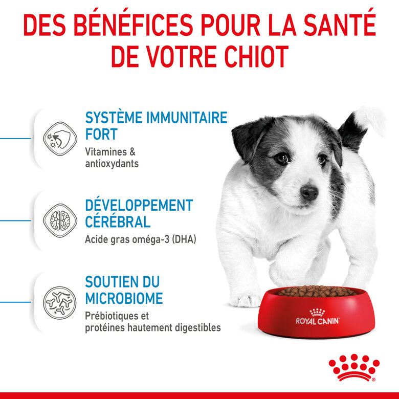 Royal Canin - Croquettes Mini Puppy pour Chiot - 2Kg Image numéro 3 Royal Canin - Croquettes Mini Puppy pour Chiot - 2Kg Image numéro 3