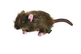Hunter - Jouet Wildlife Rat pour Chiens - 34cm