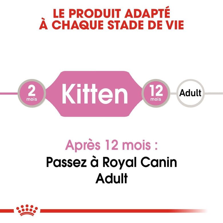 Royal Canin - Sachets Kitten en Mousse pour Chaton - 12x85g Image numéro 3 Royal Canin - Sachets Kitten en Mousse pour Chaton - 12x85g Image numéro 3