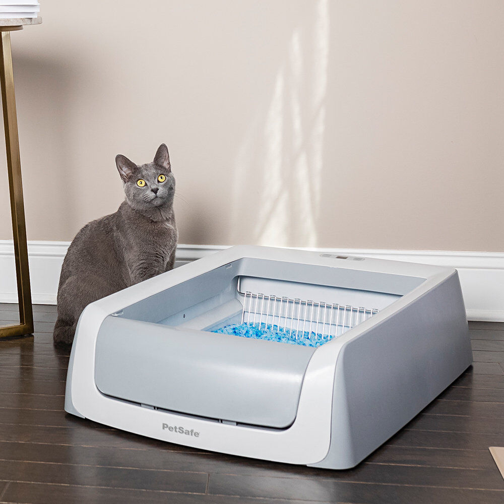 PetSafe - Liti&egrave;re Auto Scoopfree 1,5 pour Chats Image num&eacute;ro 9