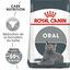 Royal Canin - Croquettes Dental Sensitive pour Chat - 400g Indicateur image num&eacute;ro 1