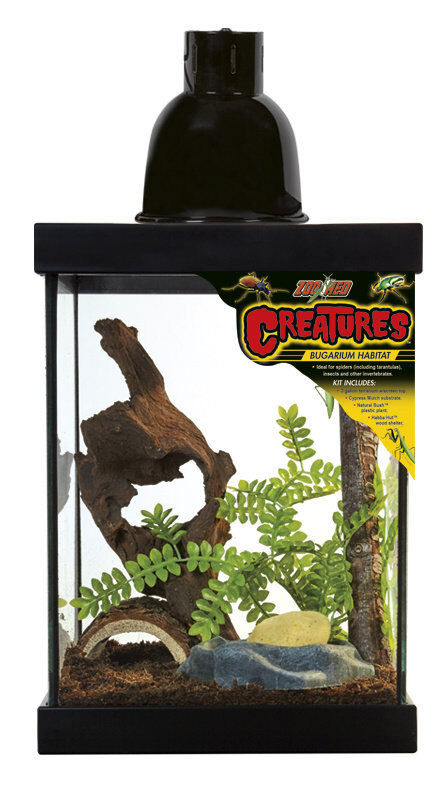 Zoomed - Kit cr&eacute;ature Zoomed pour araign&eacute;es, insectes - 22x21x28 cm Image num&eacute;ro 3