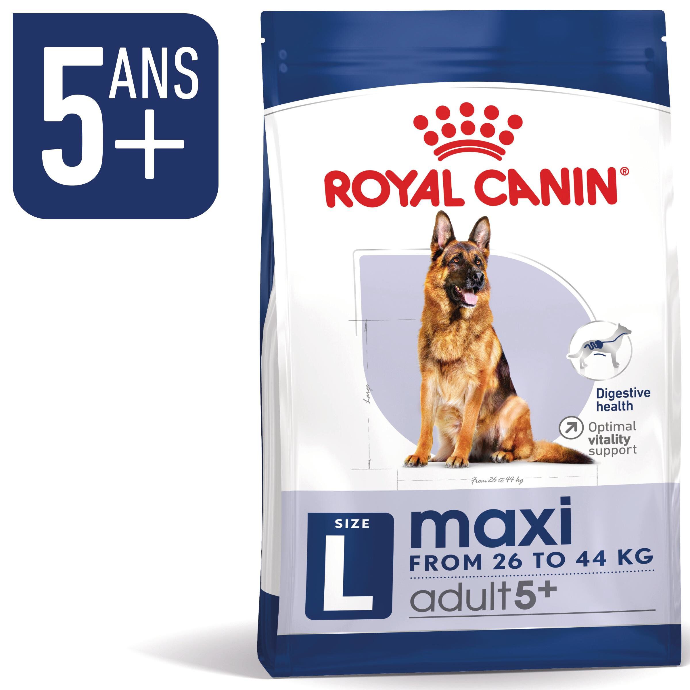 Royal Canin - Croquettes Maxi Adult 5+ pour Grand Chien - 4Kg Image num&eacute;ro 1