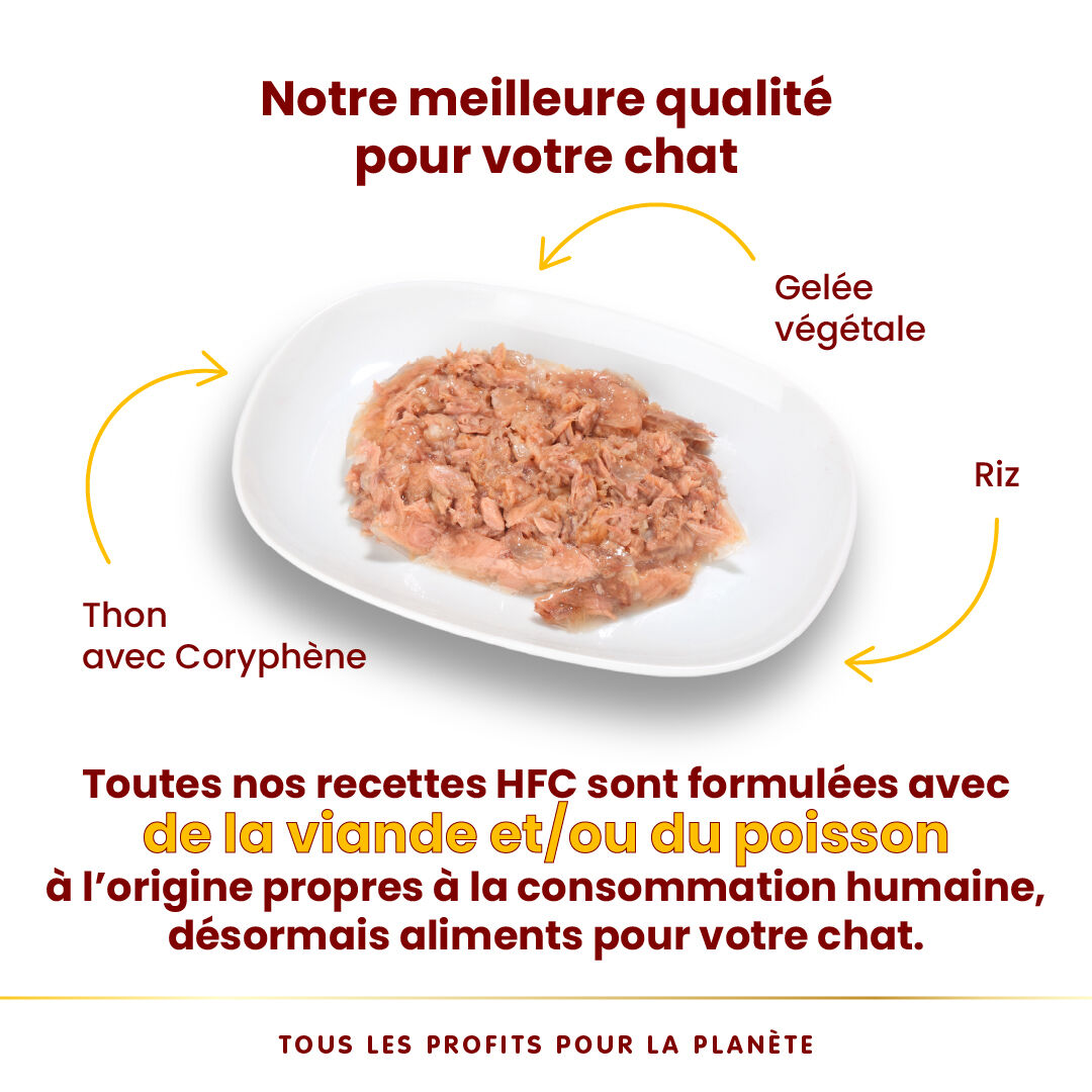 Almo Nature - P&acirc;t&eacute;e HFC Jelly Thon avec Coryph&egrave;ne pour Chats - 70g Image num&eacute;ro 3