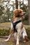 Cani Gear - Harnais Symbioz pour Chiens - XXS Indicateur image num&eacute;ro 3