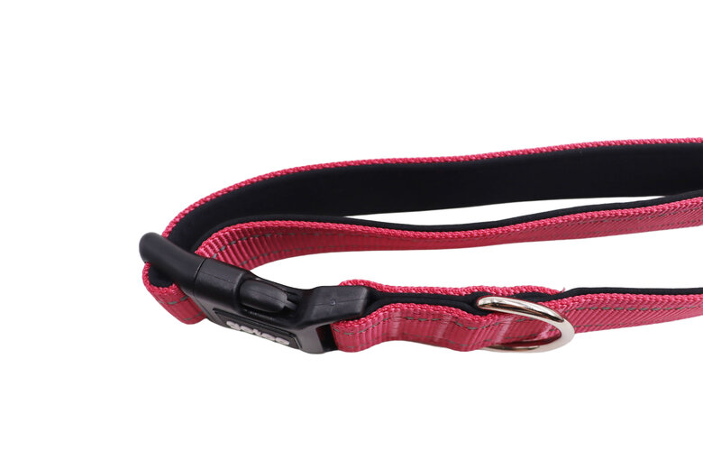 Gotoo - Collier en Nylon Premium Rose pour Chien - XS Image numéro 5 Gotoo - Collier en Nylon Premium Rose pour Chien - XS Image numéro 5