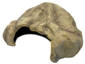 Repto - Décoration Cave Xl - Réptiles Repto - Décoration Cave Xl - Réptiles