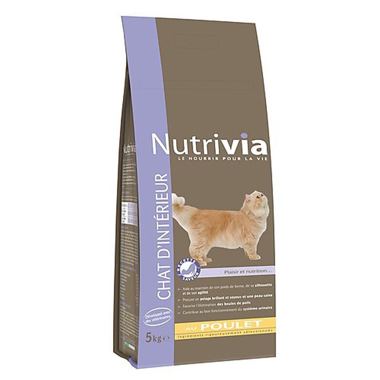 Nutrivia - Croquettes au Poulet pour Chat d'Intérieur - 5Kg Image numéro 1 Nutrivia - Croquettes au Poulet pour Chat d'Intérieur - 5Kg Image numéro 1