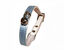 Bobby - Collier Irise pour Chats - Bleu Indicateur image numéro 2