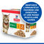 Hill's Science Plan - Multipack Kitten en Sauce Poulet et Dinde pour Chatons - 12x85g Indicateur image num&eacute;ro 2