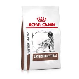 Royal Canin - Croquettes Veterinary Diet Gastro Intestinal pour Chien