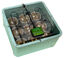 Zoomed - Incubateur digital pour reptile Indicateur image numéro 4