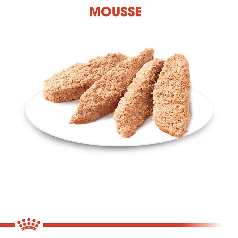 Royal Canin - Sachets Kitten en Mousse pour Chaton - 12x85g Image numéro 5 Royal Canin - Sachets Kitten en Mousse pour Chaton - 12x85g Image numéro 5