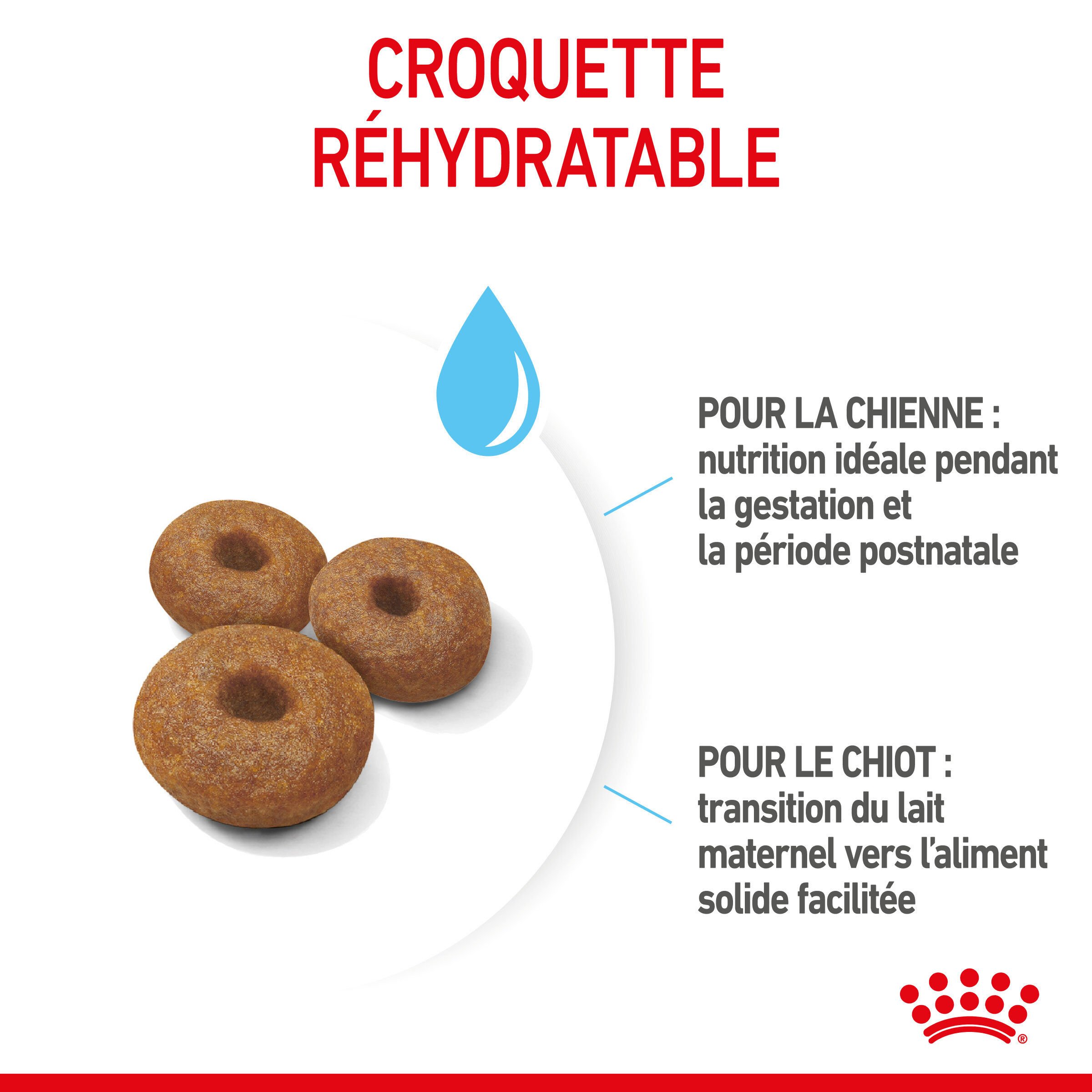 Royal Canin - Croquettes Starter Mother & Babydog Maxi - 4Kg Image num&eacute;ro 5