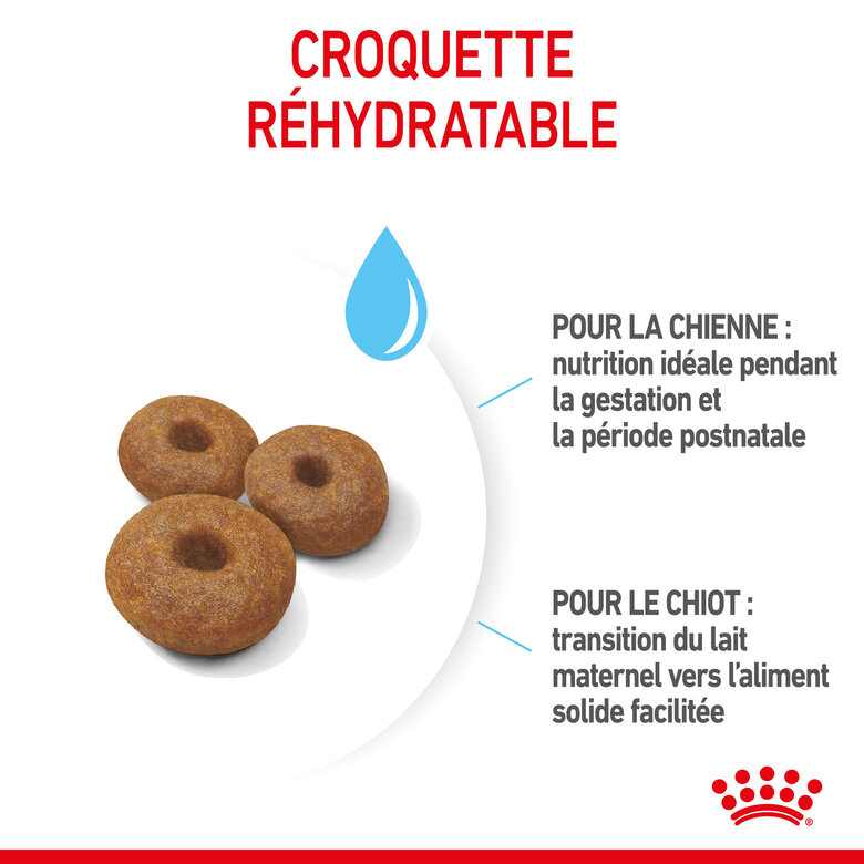 Royal Canin - Croquettes Starter Mother & Babydog Maxi - 4Kg Image numéro 5 Royal Canin - Croquettes Starter Mother & Babydog Maxi - 4Kg Image numéro 5