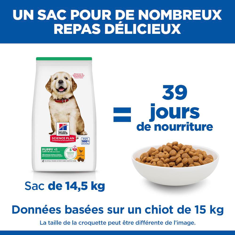 Hill's Science Plan - Puppy Croquettes Pour Chiot De Grande Taille Au Poulet  - 16kg Image num&eacute;ro 14